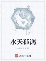 水天孤鸿封面