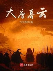 大唐暮云封面