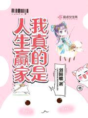 我真的是人生赢家封面