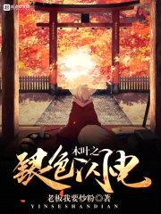 木叶之银色闪电封面