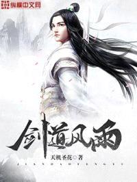 剑道风雨封面