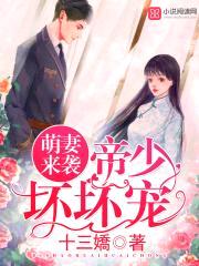 萌妻来袭：帝少坏坏宠封面