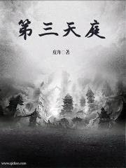 第三天庭封面
