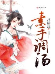 素手调汤封面