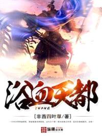 浴血天都封面
