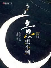 意，想不到封面
