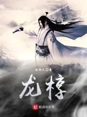 龙椁封面