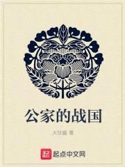 公家的战国封面