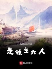 是领主大人封面