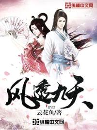 风透九天封面