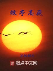 敬亭高飞封面