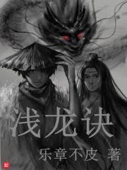 浅龙诀封面