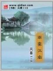 雨雾江南封面
