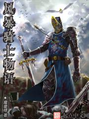 风暴骑士物语封面