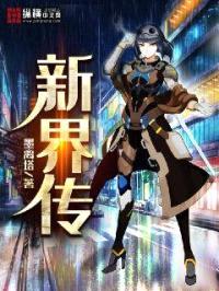 新界传封面