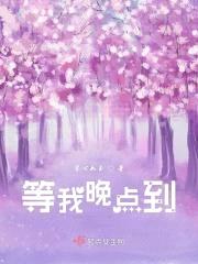 你等着，我晚点到封面