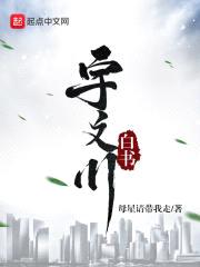 宇文川白书封面