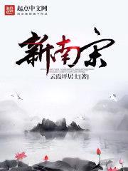 新南宋封面