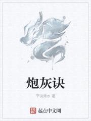 炮灰诀封面