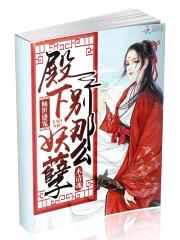 倾世盛宠：殿下，别那么妖孽封面