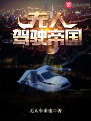无人驾驶帝国封面