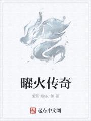 曜火传奇封面