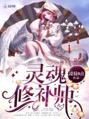 灵魂修补师封面