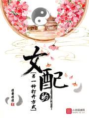 女配的另一种打开方式封面