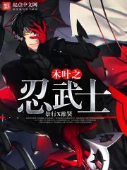 木叶之忍武士封面