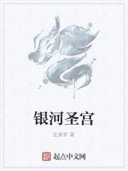 银河圣宫封面