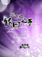 柯南之轮回之梦封面