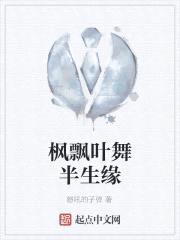 枫飘叶舞半生缘封面