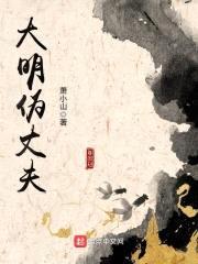 大明伪丈夫封面