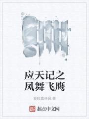 应天记之凤舞飞鹰封面