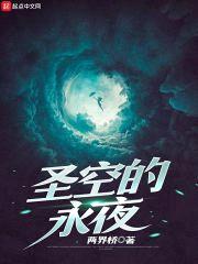 圣空的永夜封面