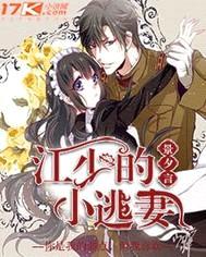 江少的小逃妻封面