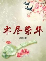 术尽荣华封面