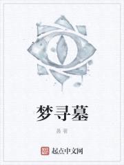 梦寻墓封面