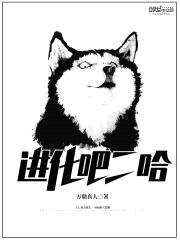 进化吧二哈封面