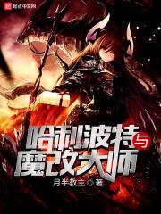 哈利波特与魔改大师封面