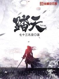 踏天封面