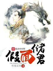 假面储君封面