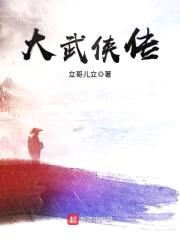 大武侠传封面