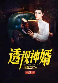 透视神婿封面
