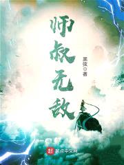 师叔无敌封面
