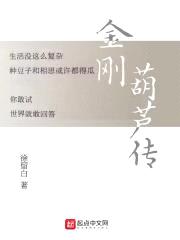 金刚葫芦传封面