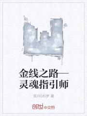 诺亚方舟归真号—金线之路封面