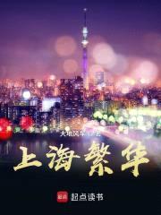 上海繁华封面