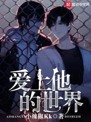爱上他的世界封面