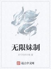 无限妹制封面